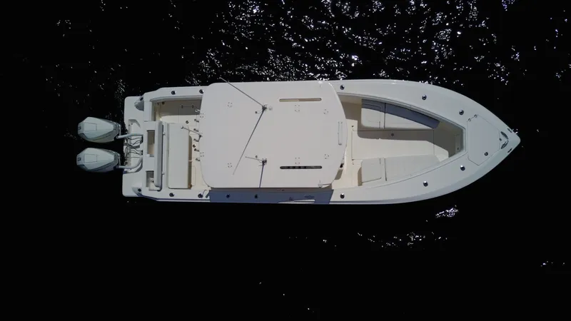 Slide: The Image of SeaVee 290B 2023 - 6916212