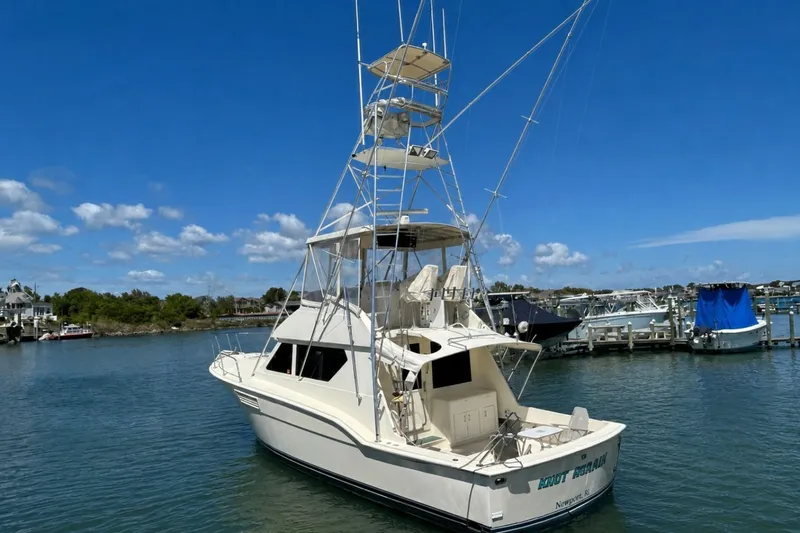 The Image of Hatteras 45 Convertible 1989 - 7395010
