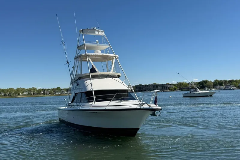 Slide: The Image of Phoenix Bass Boat 34 SFX Convertible 1987 - 6989412