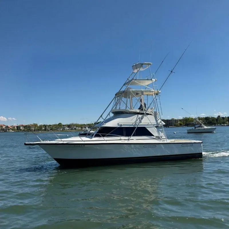 The Image of Phoenix Bass Boat 34 SFX Convertible 1987 - 7245602