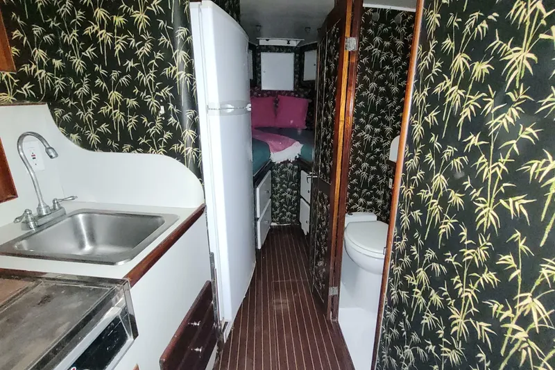 Slide: The Image of Sunny Briggs 37 Express 1984 - 6916387