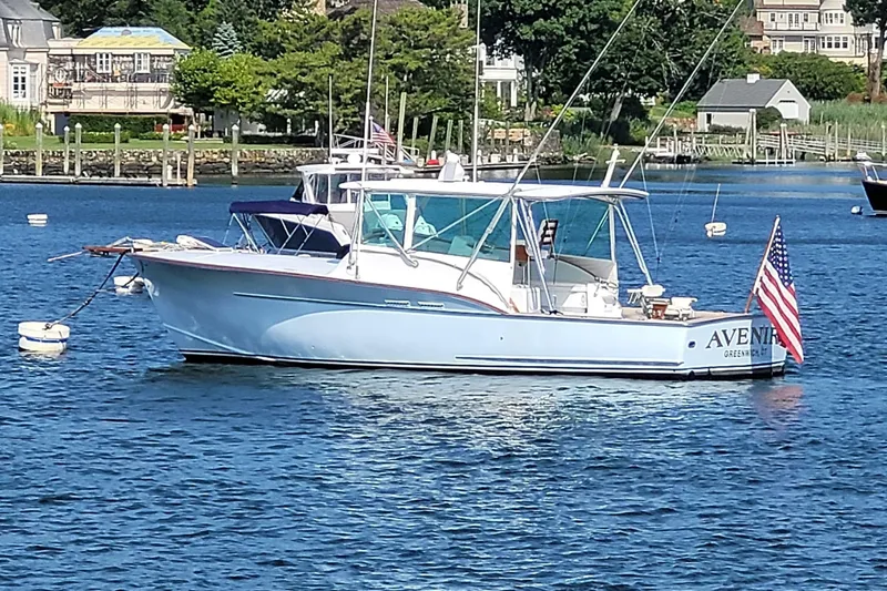 The Image of Sunny Briggs 37 Express 1984 - 6960486