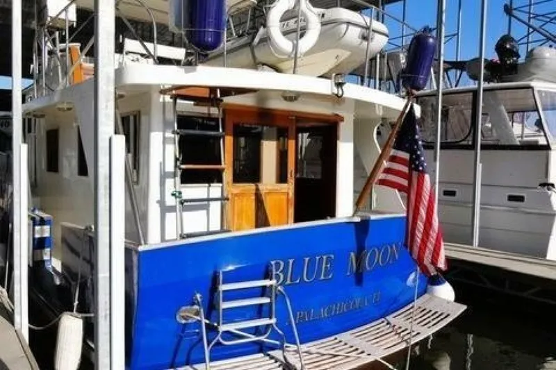 Slide: The Image of Sea Ranger 45 Sea Ranger 1981 - 6960517