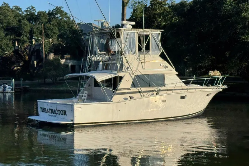Slide: The Image of Bertram 38 Convertible 1979 - 6960587
