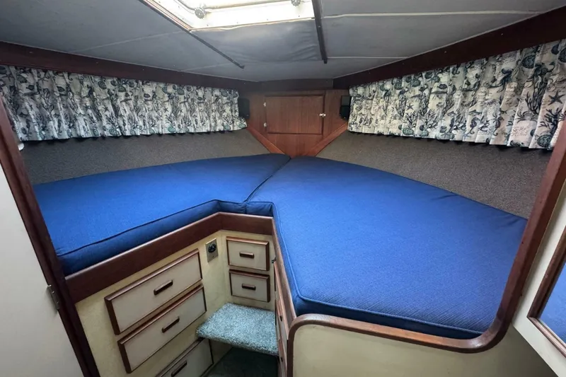 Slide: The Image of Bertram 38 Convertible 1979 - 6960641