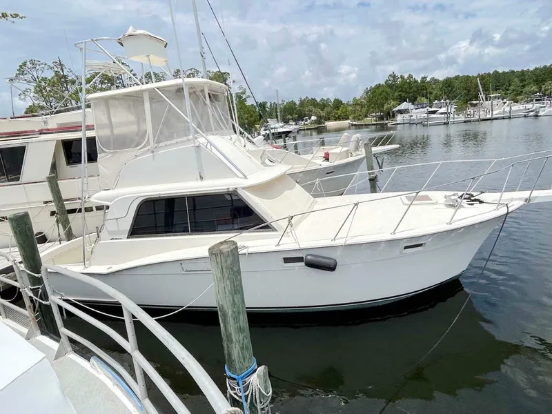 Slide: The Image of Hatteras 36 Convertible 1975 - 7540071
