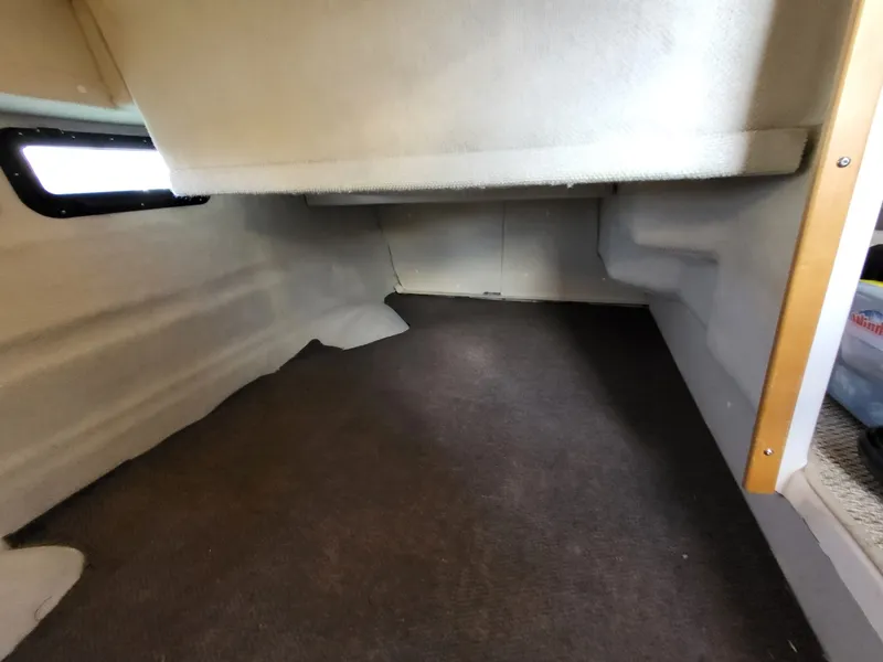 Slide: The Image of Cutwater C-288 Coupe 2023 - 6956139