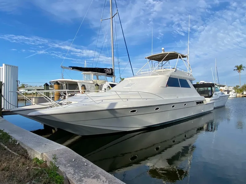 The Image of Mares 58 Power Cat 1995 - 7244397