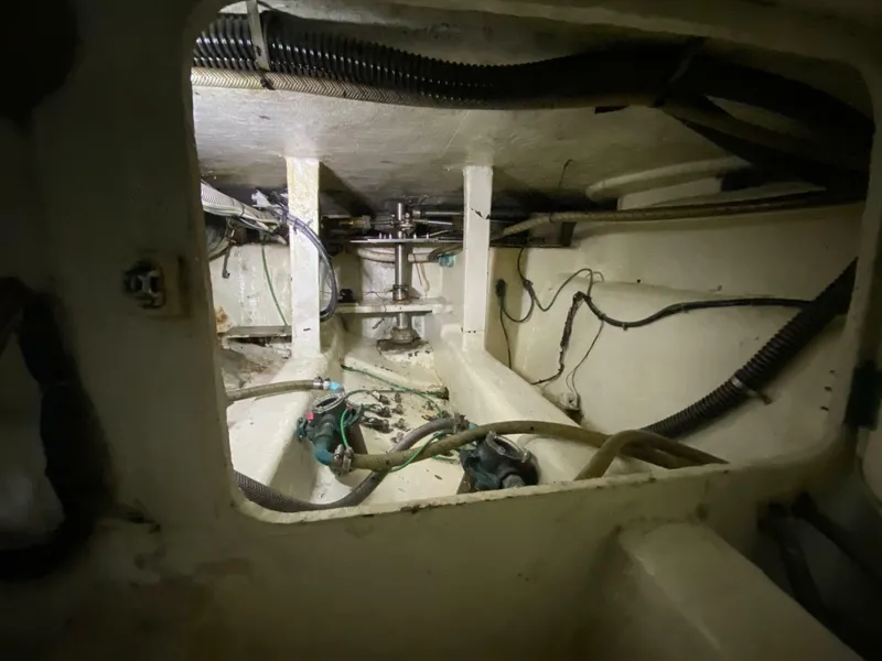 Slide: The Image of Mares 58 Power Cat 1995 - 7244699