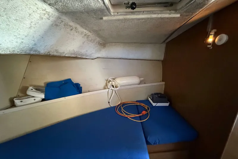 Slide: The Image of Chris-Craft 31 Commander 1973 - 7246345