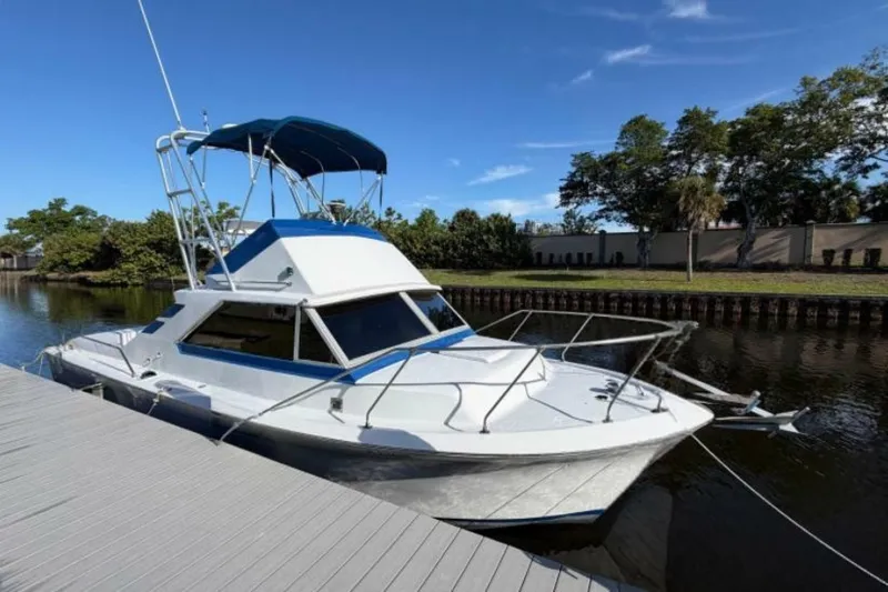 The Image of Chris-Craft 31 Commander 1973 - 7246263