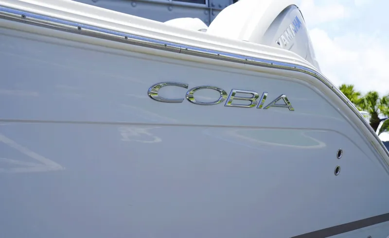 Slide: The Image of Cobia 330DC 2021 - 7158841