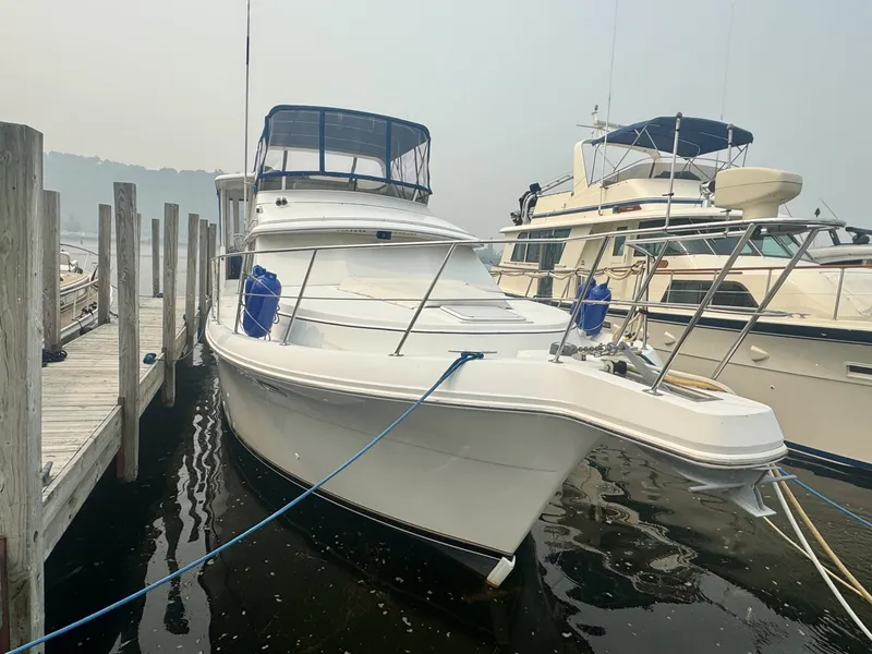 Slide: The Image of Carver Yachts 445 Aft Cabin 1997 - 6981599