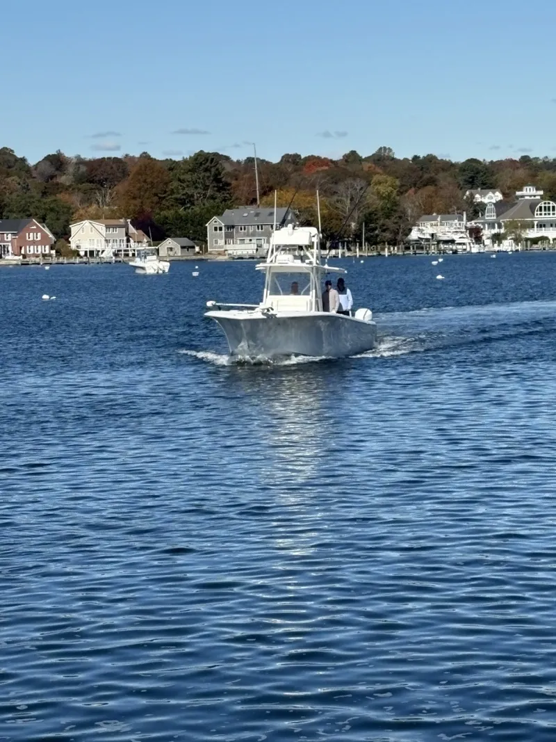 Slide: The Image of SeaVee 390Z 2016 - 7087967