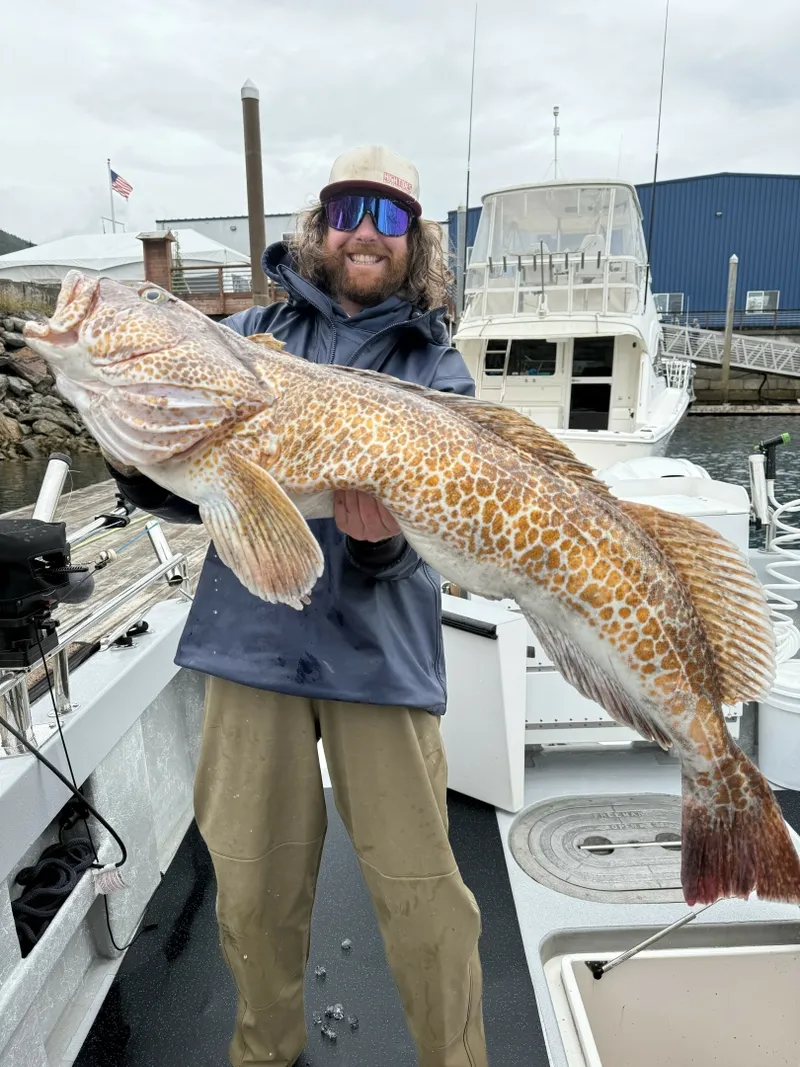 Slide: The Image of HERRING IMPAIRED 2018 42 Little Hoquiam Boat Works FISH ON / HES STRUGGLING  - 7227180