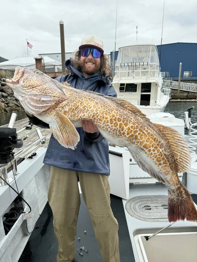Slide: The Image of HERRING IMPAIRED 2018 42 Little Hoquiam Boat Works FISH ON / HES STRUGGLING - 7649808