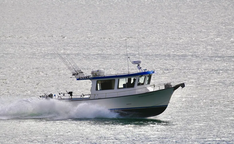 Slide: The Image of HERRING IMPAIRED 2018 42 Little Hoquiam Boat Works HERRING IMPAIRED 2018 42 Little Hoquiam Boat Works - 7157899