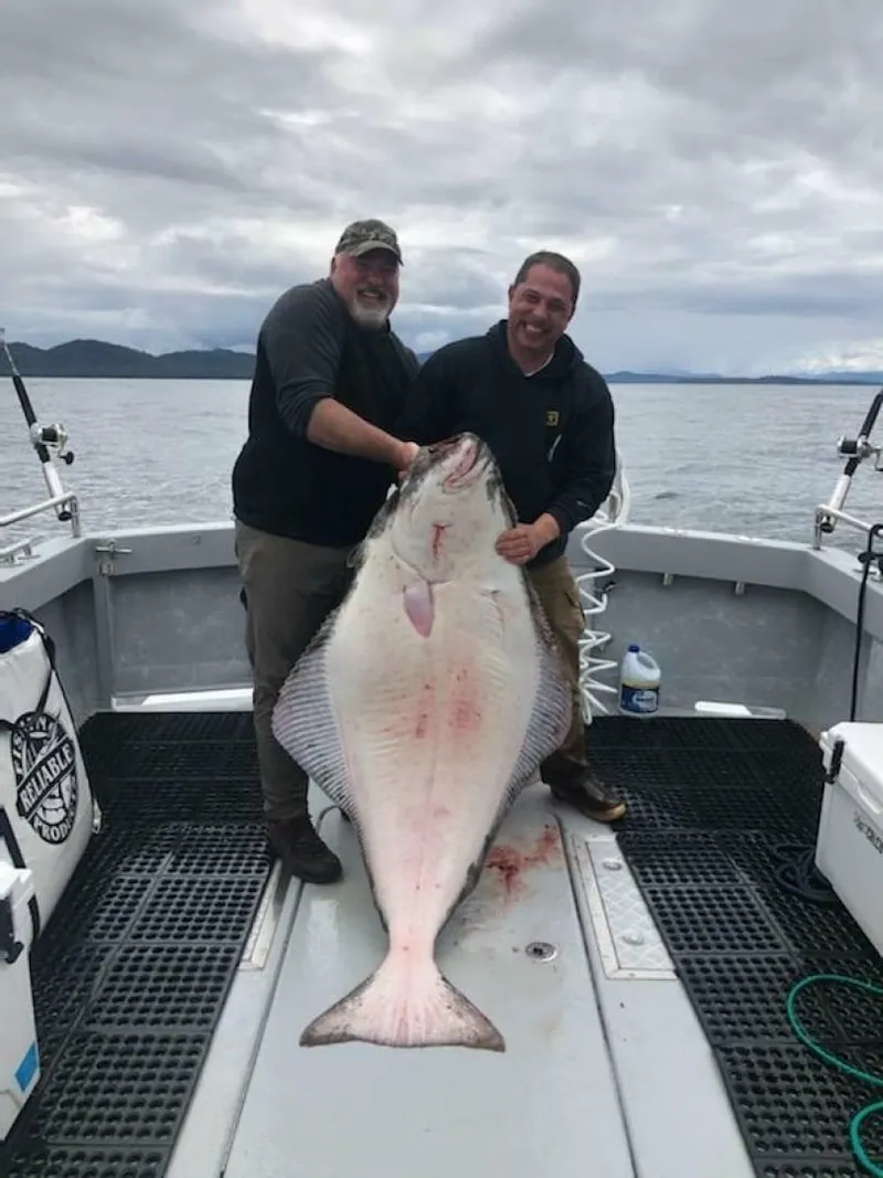 Slide: The Image of HERRING IMPAIRED 2018 42 Little Hoquiam Boat Works FISH ON JUST FOR THE HALBIT - 7649806