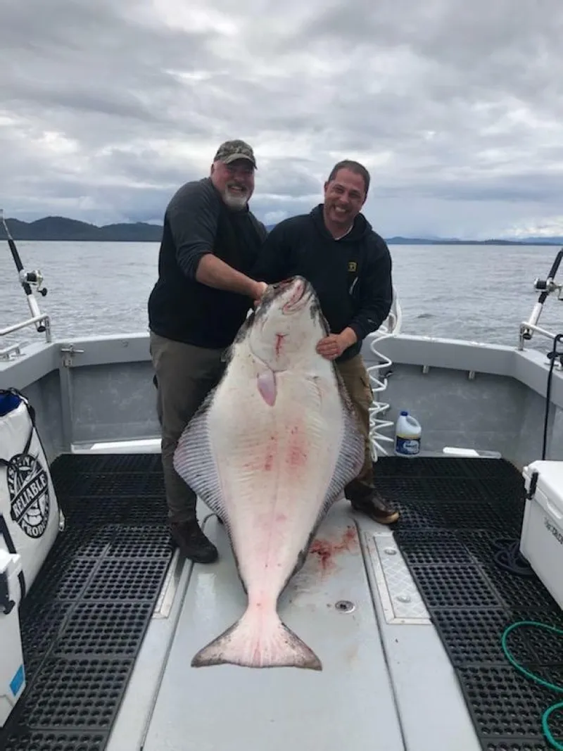Slide: The Image of HERRING IMPAIRED 2018 42 Little Hoquiam Boat Works FISH ON JUST FOR THE HALBIT  - 7227047
