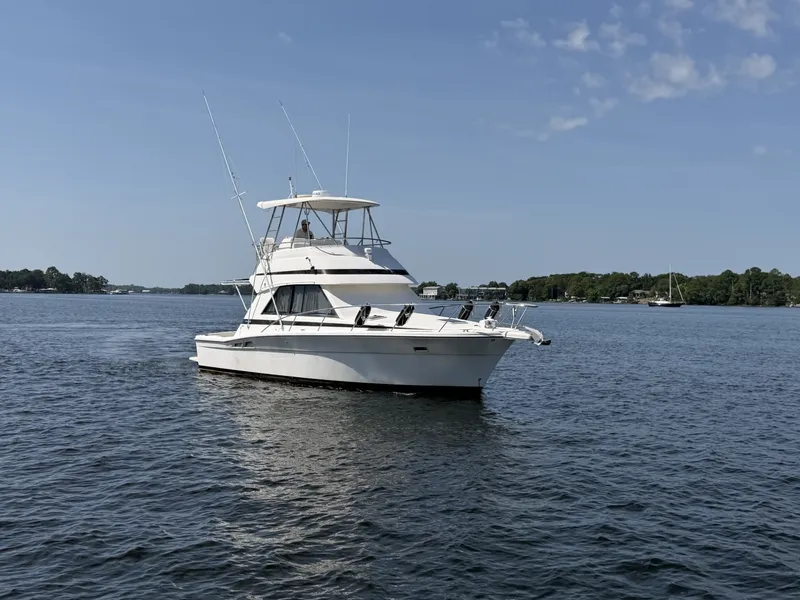 Slide: The Image of Riviera 34 Convertible 2000 - 7141139