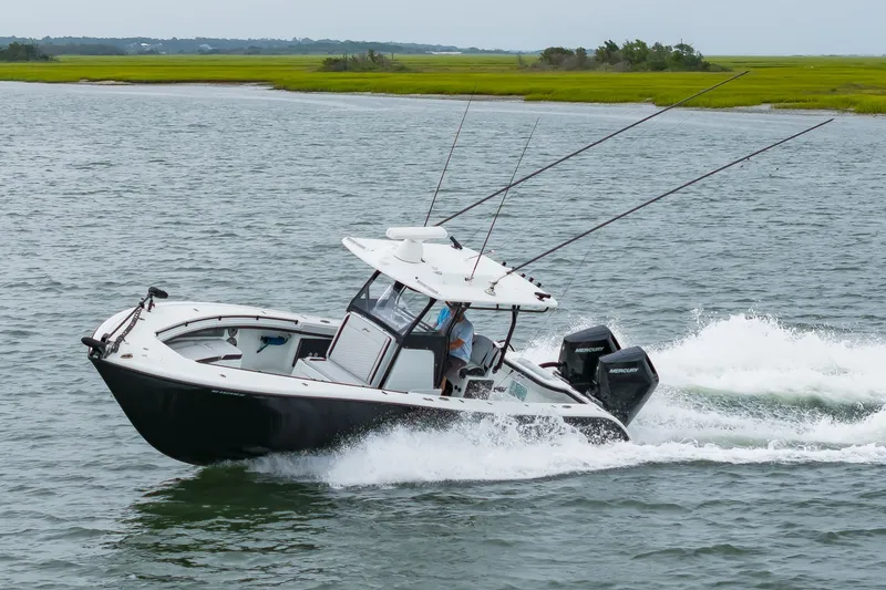 Slide: The Image of 32Yellowfin2025_047 - 7141653
