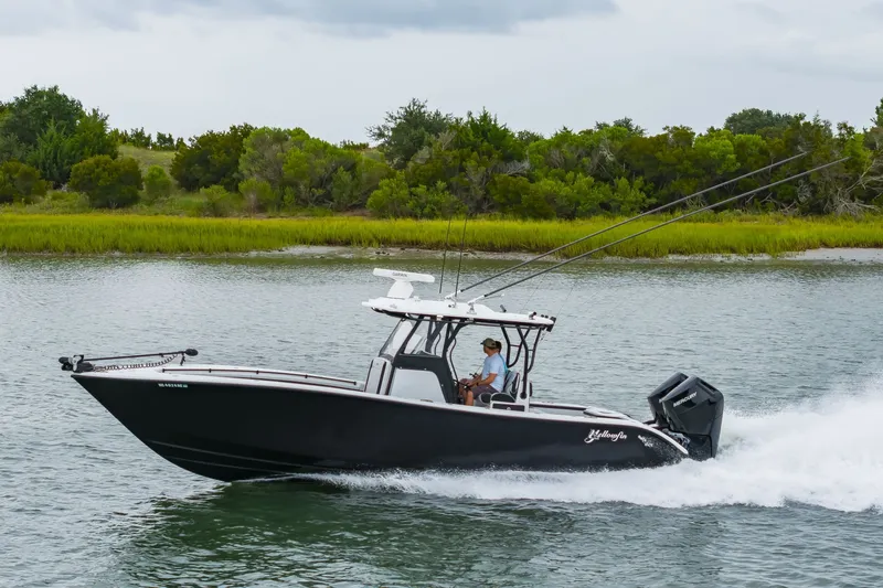 Slide: The Image of 32Yellowfin2025_044 - 7141650