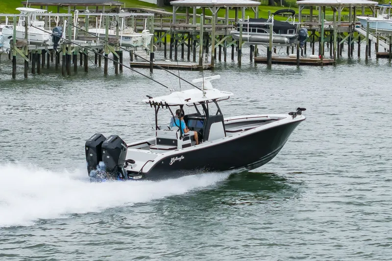 Slide: The Image of 32Yellowfin2025_046 - 7141652