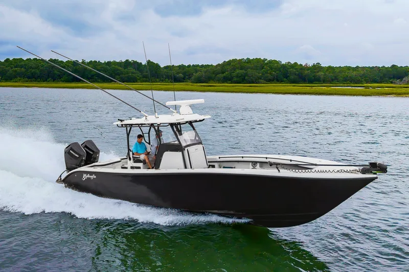Slide: The Image of 32Yellowfin2025_003 - 7141609