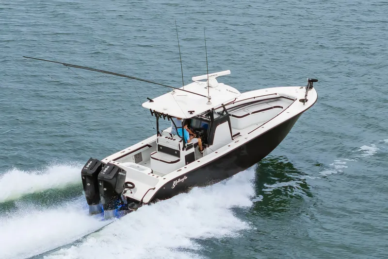 Slide: The Image of 32Yellowfin2025_006 - 7141612