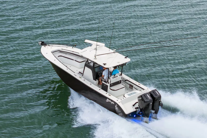 Slide: The Image of 32Yellowfin2025_004 - 7141610