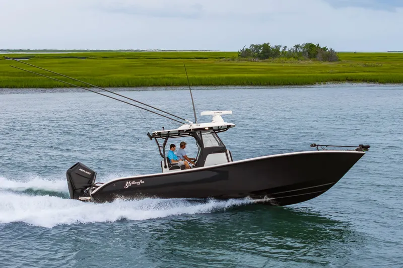 Slide: The Image of 32Yellowfin2025_008 - 7141614