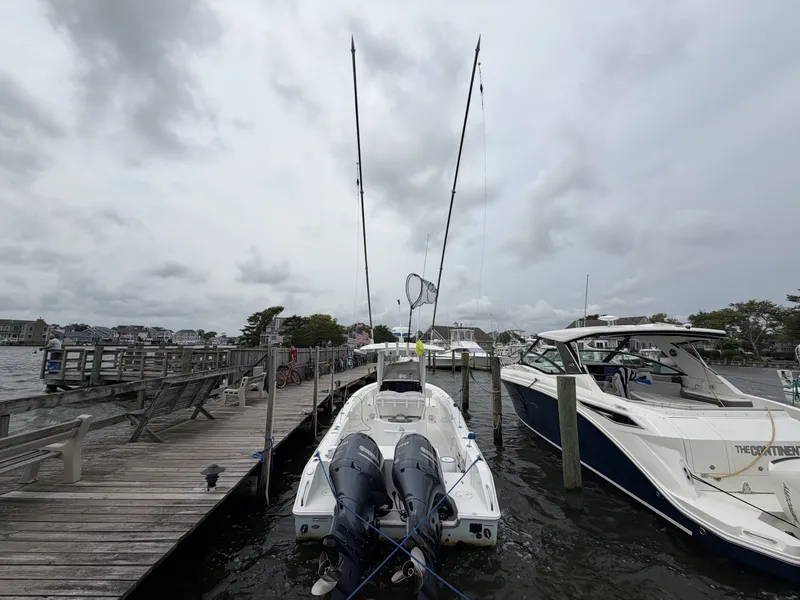 Slide: The Image of Sea Hunt Gamefish 25 2016 - 7147395