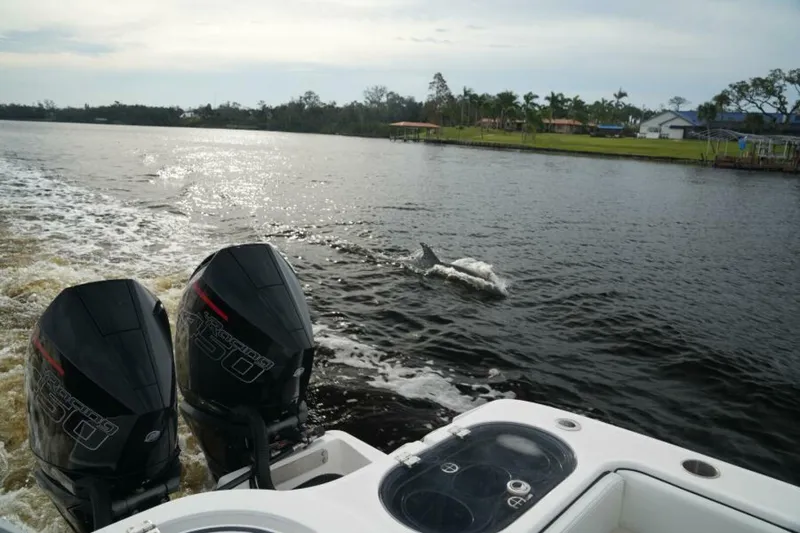 Slide: The Image of Invincible 46 Catamaran 2022 - 7154893
