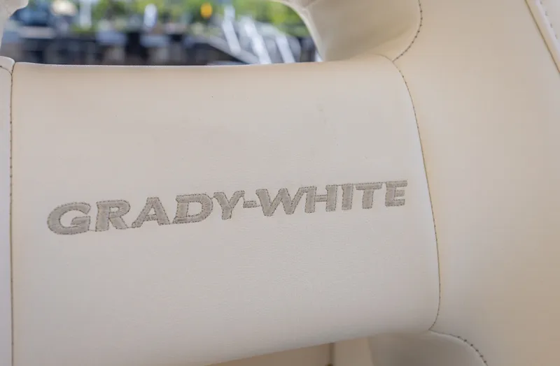 Slide: The Image of Grady-White Canyon 376 2021 - 7457532