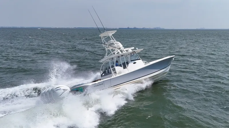 Slide: The Image of Regulator Marine 41 2019 - 7156146