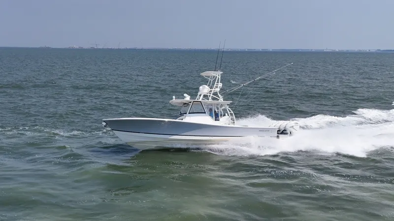 Slide: The Image of Regulator Marine 41 2019 - 7156153