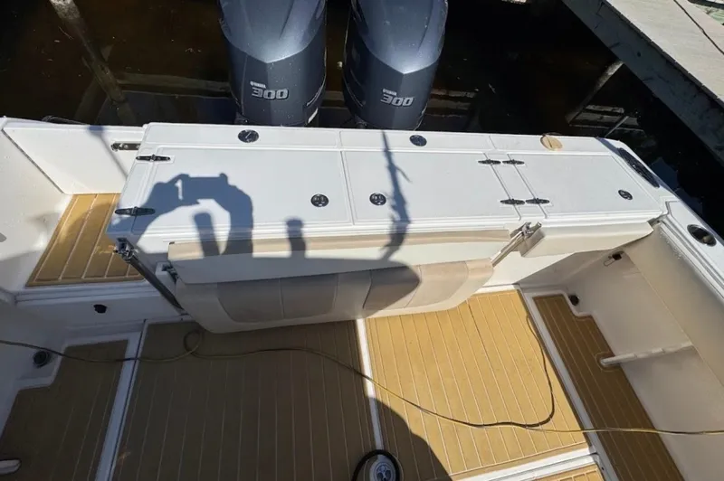 Slide: The Image of Stamas 317 Tarpon 2014 - 7156453