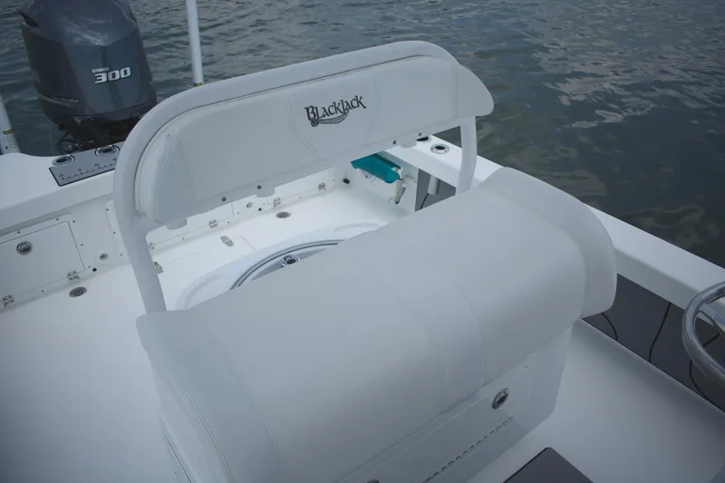 Slide: The Image of Blackjack 256 Coastal 2020 - 7159327