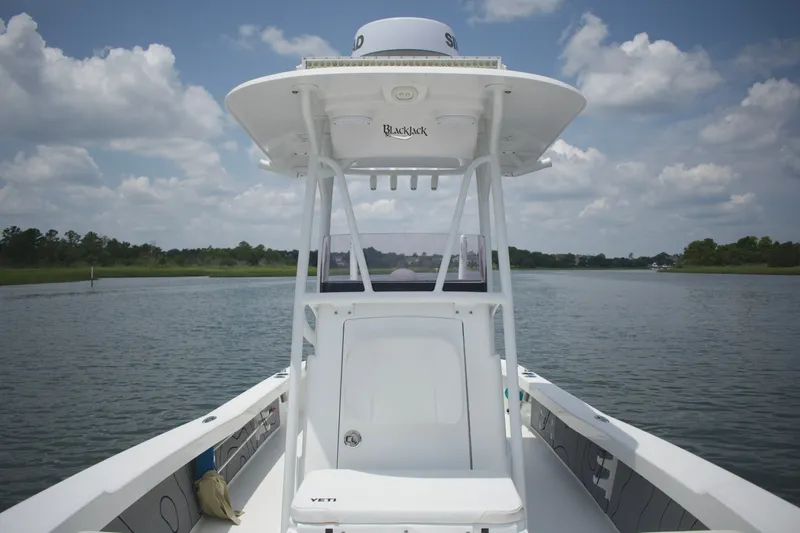 Slide: The Image of Blackjack 256 Coastal 2020 - 7159314