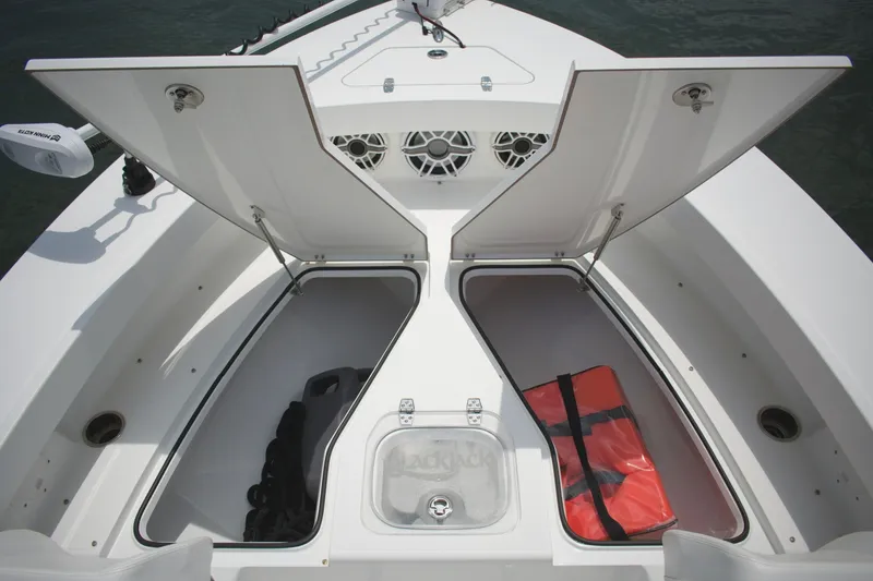 Slide: The Image of Blackjack 256 Coastal 2020 - 7159308