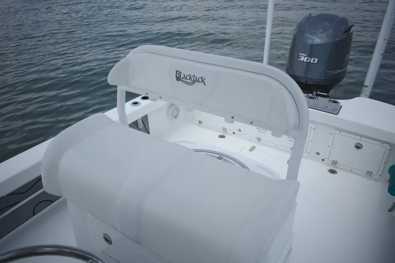 Slide: The Image of Blackjack 256 Coastal 2020 - 7159323