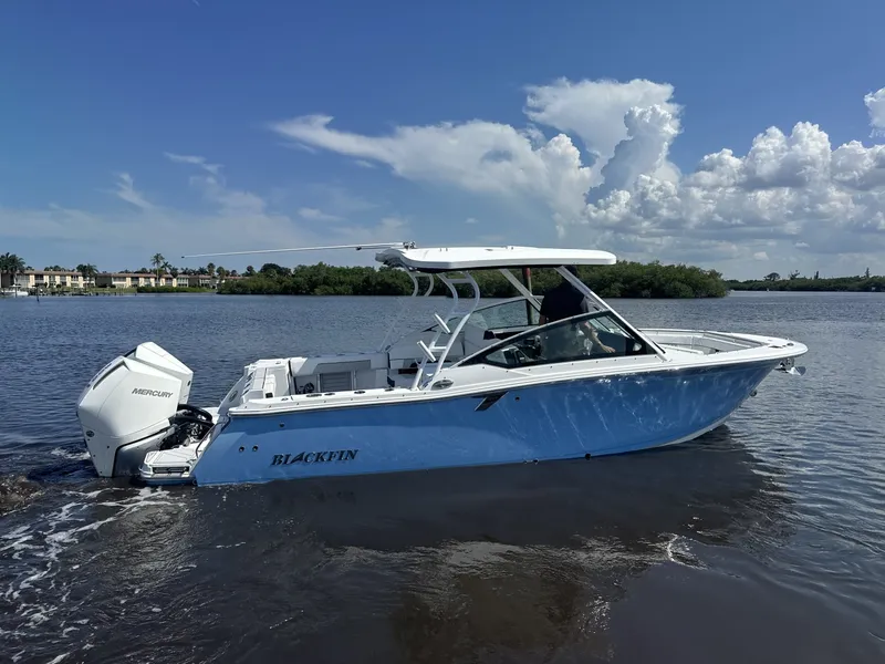 The Image of Blackfin 272DC 2024 - 7464660