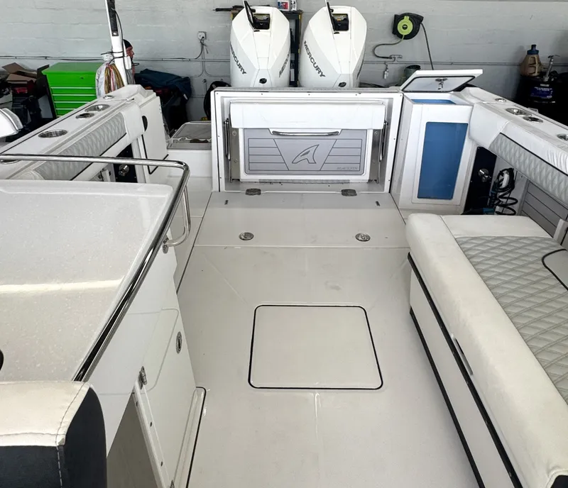 Slide: The Image of Blackfin 272DC 2024 - 7163597