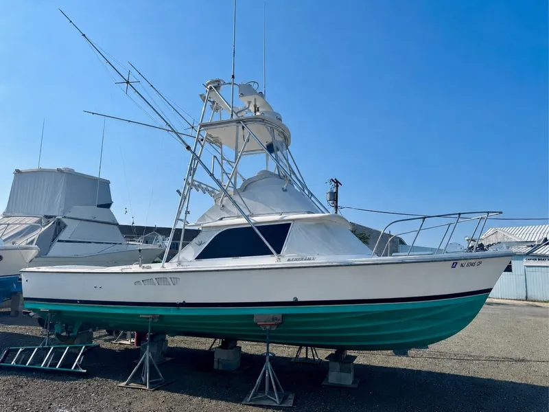 The Image of Bertram 31 Flybridge 1984 - 7385279