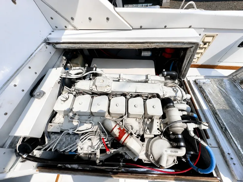 Slide: The Image of Bertram 31 Flybridge 1984 - 7385306