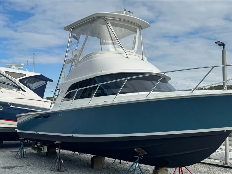 The Image of Bertram 35 Flybridge 2021 - 7265762