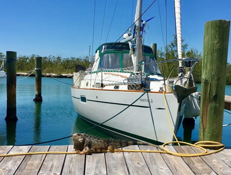 The Image of Beneteau Oceanis 36CC 1997 - 7269383