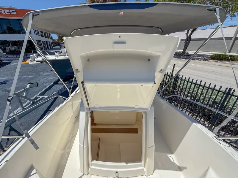 Slide: The Image of White Shark 210CC 2023 - 7288037