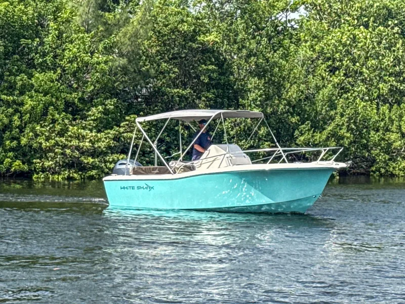 Slide: The Image of White Shark 210CC 2023 - 7288031
