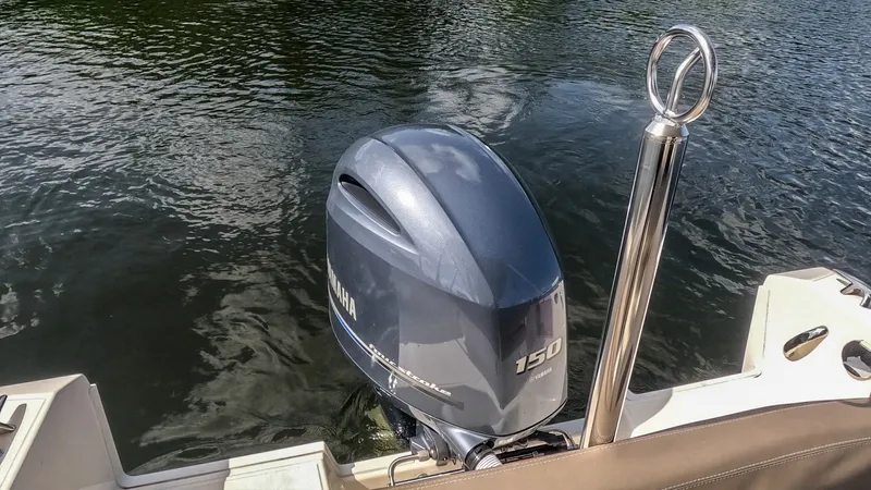 Slide: The Image of White Shark 210CC 2023 - 7288040